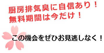 この機会を是非お見逃しなく!