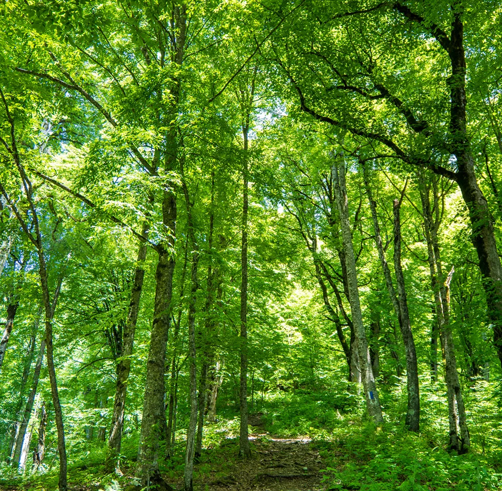 威力ある中和消臭システム