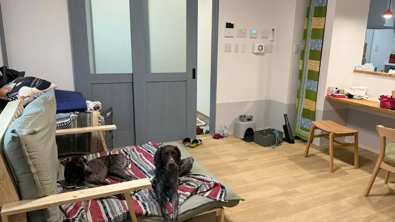 犬を室内で飼うドッグトレーナーの家庭リビング