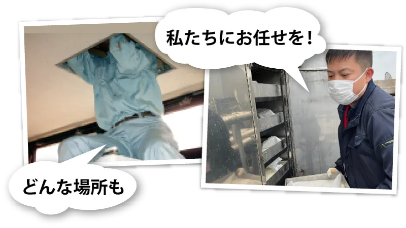 どんな場所もお任せください